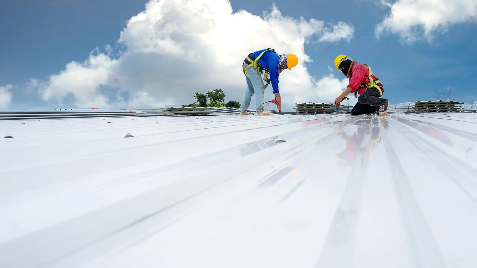 Commercial Roof Capital Planning in Burbank, CA